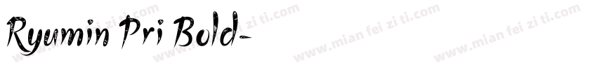 Ryumin Pri Bold字体转换